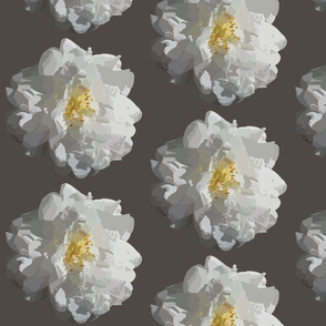 White Camellias (Large Grey)