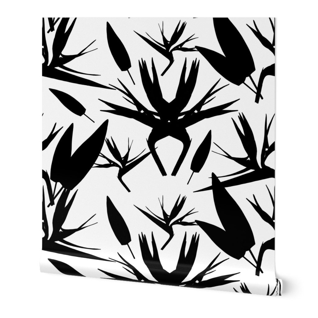 Birds of Paradise - Tropical Strelitzia #3 Black Silhouettes on White, large 