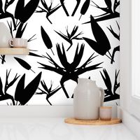 Birds of Paradise - Tropical Strelitzia #3 Black Silhouettes on White, large 