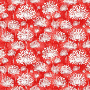 Dandelions (red white)25