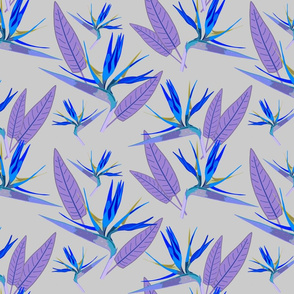 Birds of Paradise - Tropical Strelitzia #2 Blues on Silver Grey, large 