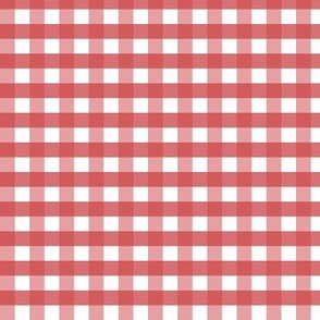 Watermelon Gingham | red white pink check| Renee Davis