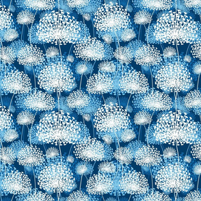 Dandelions (blue) 25  