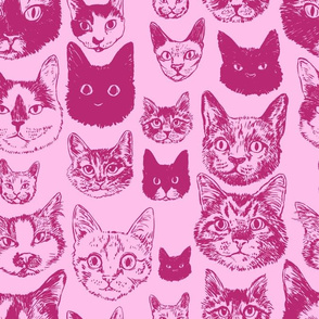 cats - pink +  wine