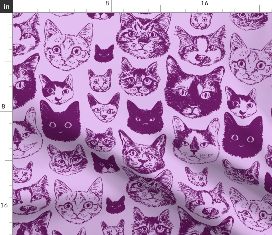 cats - lavender + plum