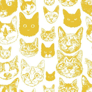 cats - mustard