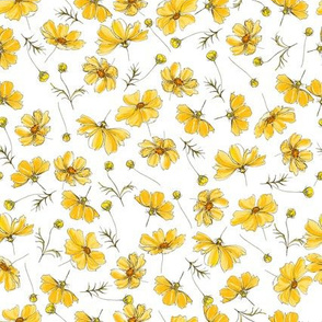 Yellow Cosmos Flower Pattern