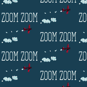 Zoom Plane Teal Blue Red White