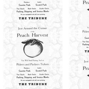 Peach Harvest Vintage Ad Black White 