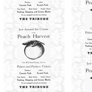 Tea Towel Peach Harvest Black and White Vintage Ad