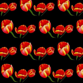 Tulips Red Rocket on Black Retro Floral