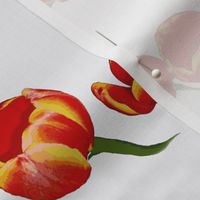 Tulips Rocket Red on White Retro Floral