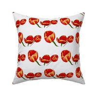 Tulips Rocket Red on White Retro Floral