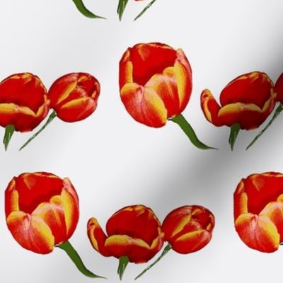 Tulips Rocket Red on White Retro Floral