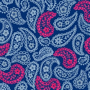 Dusty & Raspberry Pink 70's Paisley (blue) 9” small