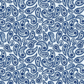 Blue 70's Paisley (ice blue) 10” medium 