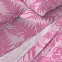 Fern Forest Dawn-pink