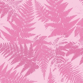 Fern Forest Dawn-pink