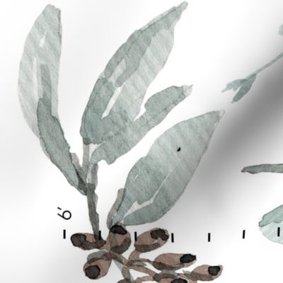 Height Charts // Monstera, Peace Lily, Eucalyptus