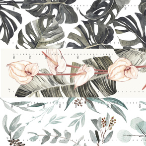 Height Charts // Monstera, Peace Lily, Eucalyptus