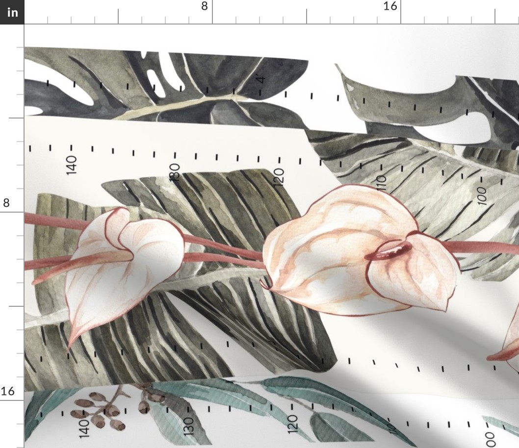 Height Charts // Monstera, Peace Lily, Eucalyptus