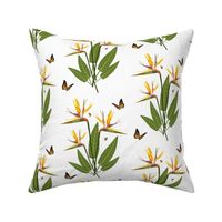 Birds of Paradise - Elegant Motif - White 