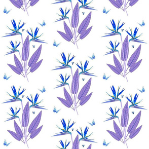 Birds of Paradise - Elegant Motif - Blues on White 