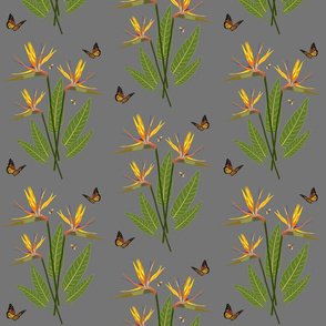 Birds of Paradise - Elegant Motif - Grey