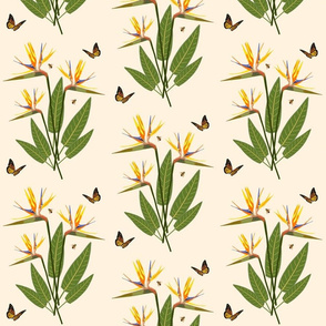 Birds of Paradise - Elegant Motif - Creamy Beige