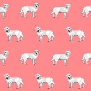maremma sheepdog fabric - dog fabric, italian sheepdog fabric, white dog -  coral