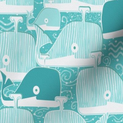 baby whales (aqua)50