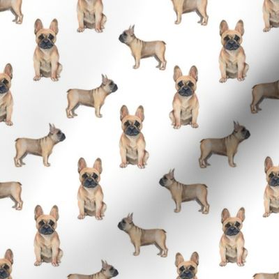 frenchie watercolor fabric - dog fabric, french bulldog, french bulldog watercolor -  white