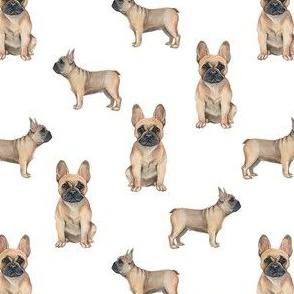 frenchie watercolor fabric - dog fabric, french bulldog, french bulldog watercolor -  white