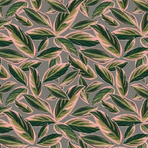 Calathea Triostar Leaves (original)