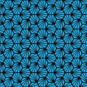 Geometric Pattern: Hexagon Ray: Blue Black