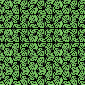 Geometric Pattern: Hexagon Ray: Green Black