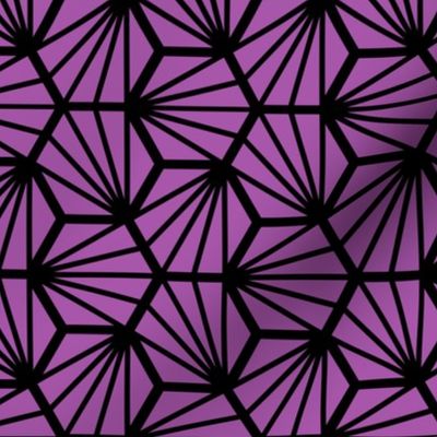 Geometric Pattern: Hexagon Ray: Purple Black