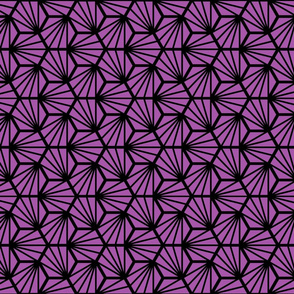Geometric Pattern: Hexagon Ray: Purple Black