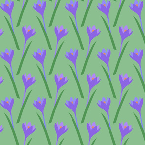 Crocuses spring flowers purple jade green