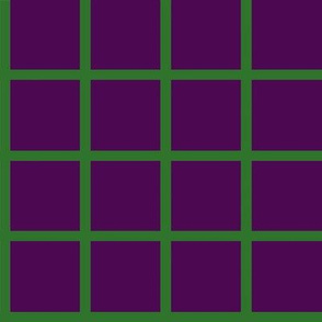 JP6 -  Medium - Graph Checks  in Grassy Green on Royal Purple