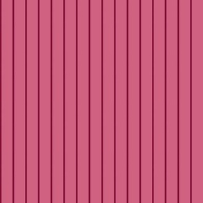 JP7 - Small - Pinstripes in Rosy Red on Rustic Pink