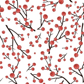 Winterberry branches