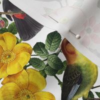 14" Vintage Toucan Bird Spring Flowers Midnight  Garden Jungle white