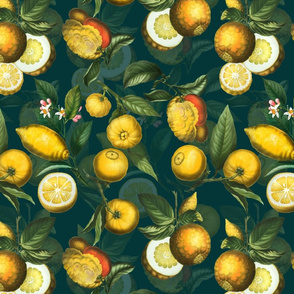 14" Delicious Vintage Citrus Fruit Pattern Teal