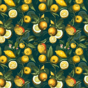 10" Delicious Vintage Citrus Fruit Pattern Teal