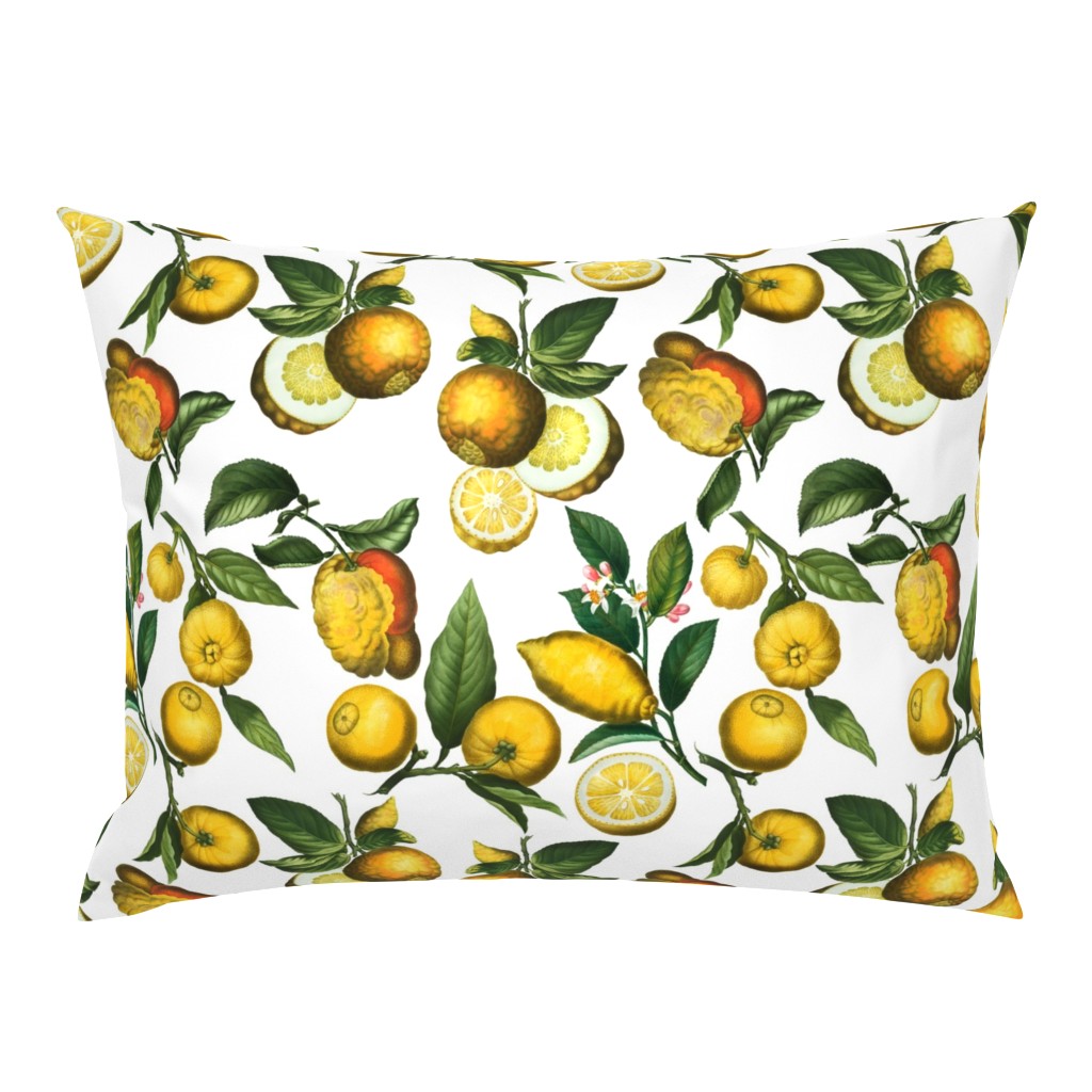 14" Delicious Vintage Citrus Fruit Pattern White