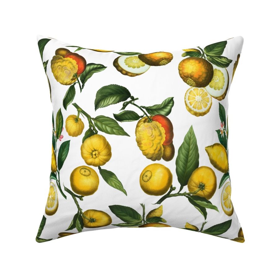 14" Delicious Vintage Citrus Fruit Pattern White