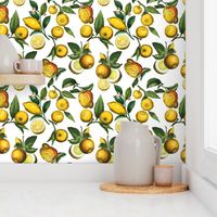 14" Delicious Vintage Citrus Fruit Pattern White