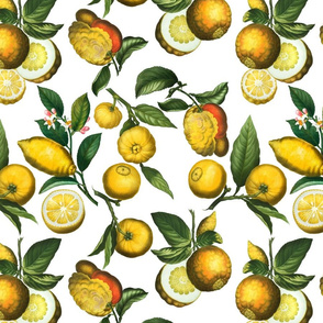 14" Delicious Vintage Citrus Fruit Pattern White