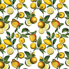10" Delicious Vintage Citrus Fruit Pattern White